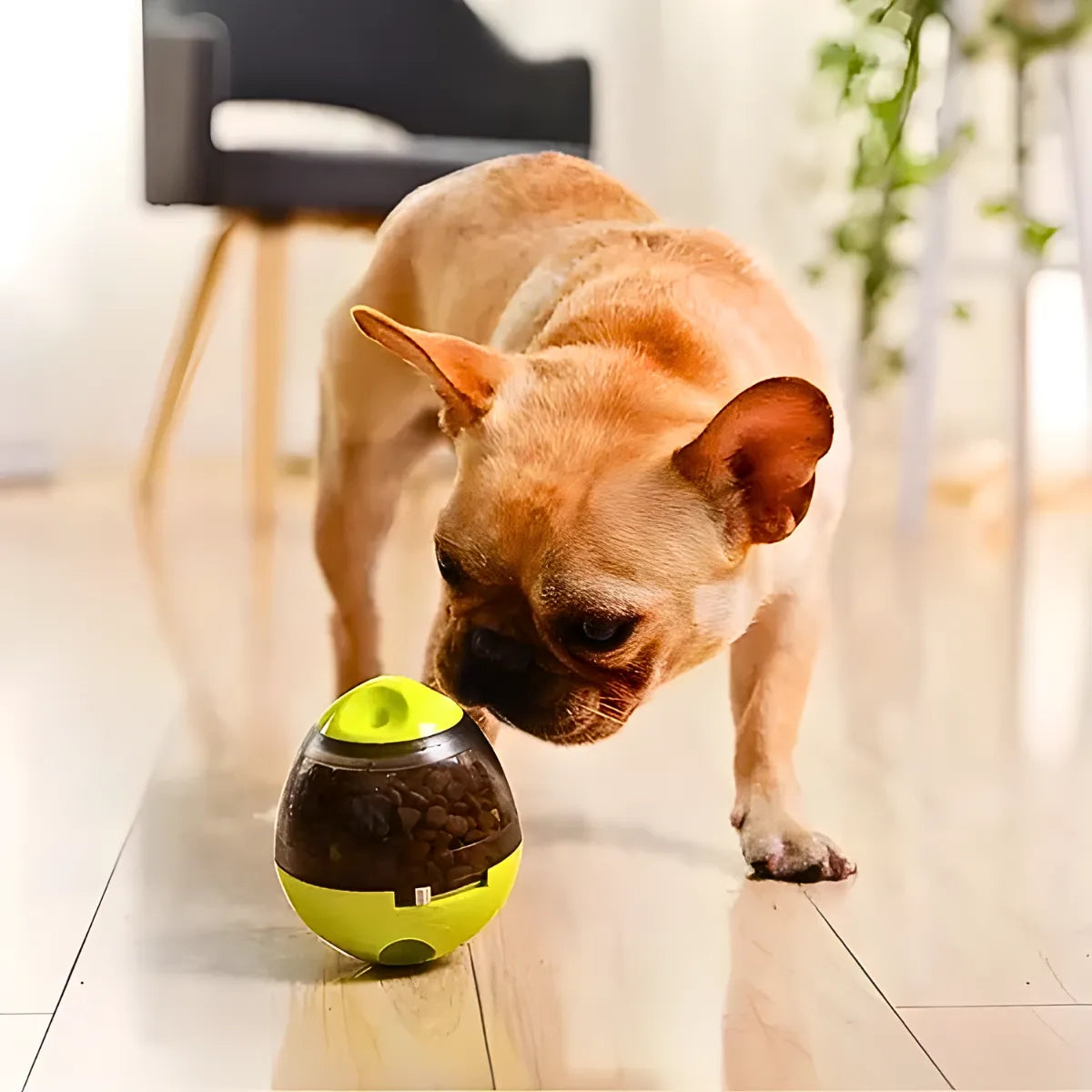 Brinquedo Interativo Para Cães com Dispenser para Petisco e